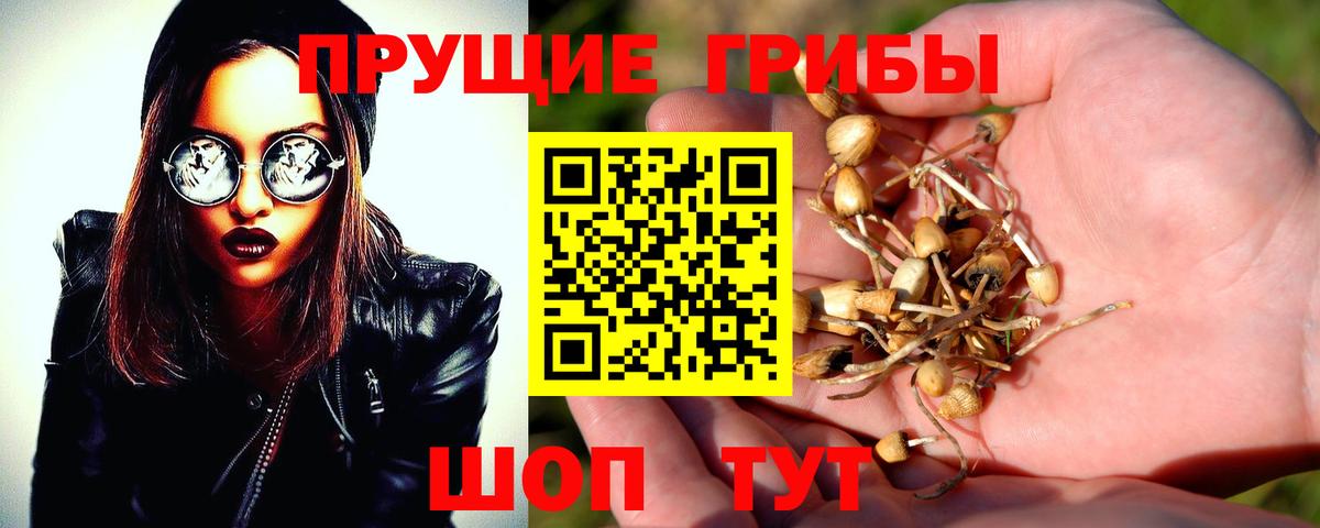 Псилоцибиновые грибы мухоморы Йошкар-Ола